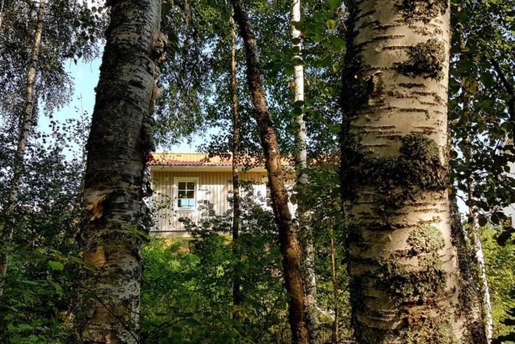 Nybyggd Stuga Intill Skogsbrynet - New Built Cottage Next To The Cowberry Forest Mora Exterior photo