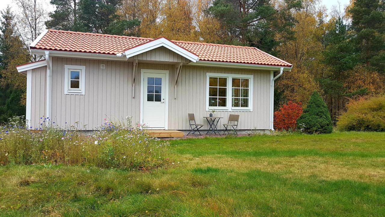 Nybyggd Stuga Intill Skogsbrynet - New Built Cottage Next To The Cowberry Forest Mora Exterior photo